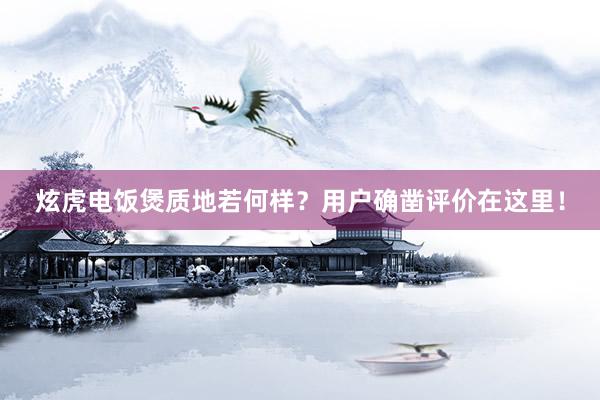 炫虎电饭煲质地若何样？用户确凿评价在这里！