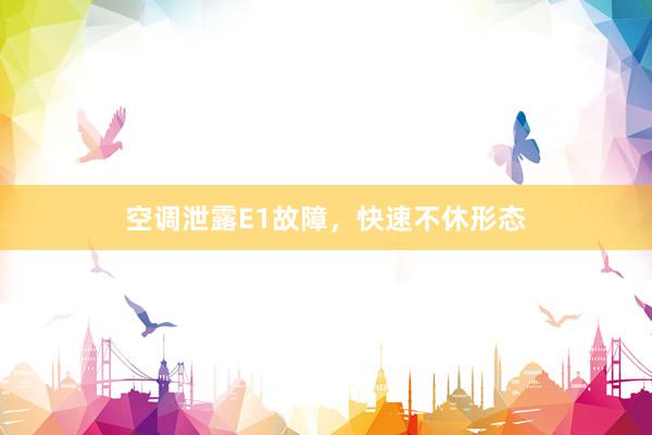 空调泄露E1故障，快速不休形态